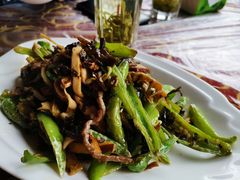 -阿巧茶庄