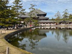 -奈良公园