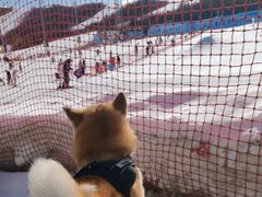 -翠云山银河滑雪场