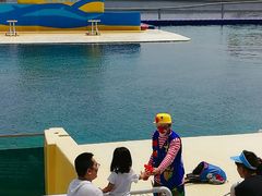 -秦皇岛乐岛海洋王国