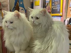 -小时光咖啡馆(开森度假森林店)