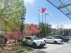 -天津水游城丽筠酒店