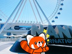 -南戴河国际娱乐中心