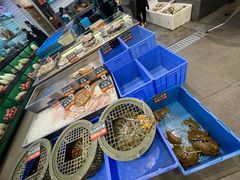 水产区-飞尝蚝·顺德菜·鱼生(顺德总店)