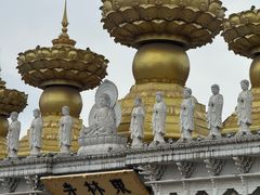 -上海东林寺(金山区)