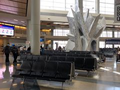 -达拉斯 沃斯堡国际机场