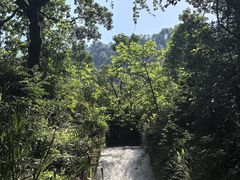 -广州市石门国家森林公园