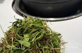 Sour Radish Old Duck Seaweed