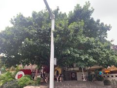 -磁器口古镇