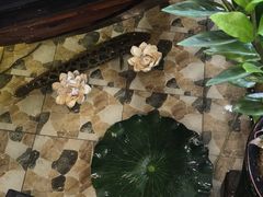 -高晓山馅饼店(牛庄百年店)