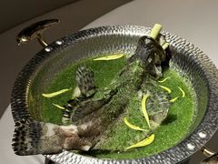 -狮拾久·现代新加坡料理(福田COCO Park店)