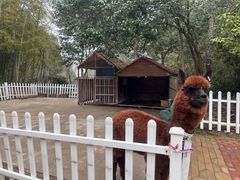 -天目湖涵田度假村