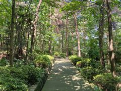 -铁山坪森林公园