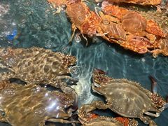 -龙宴海鲜城(经中路店)