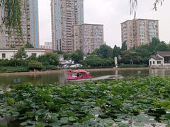 -团结湖公园