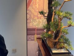 -顺峰(农展馆店)