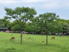 -良渚古城遗址公园