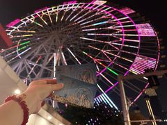 -南昌之星摩天轮