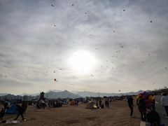 -君乐宝优致牧场