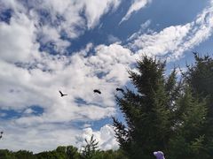 -哈尔滨北方森林动物园