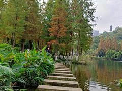 -重庆彩云湖湿地公园