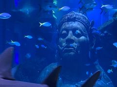 -暹罗海洋世界