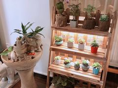-十二舍·湯物素煮(江泰潤政店)