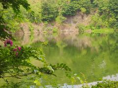-王借岗森林公园
