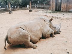 -昆明动物园