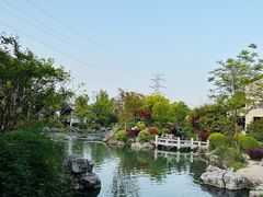 -阳澄湖半岛旅游度假区