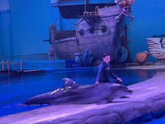 -华夏文旅海洋公园