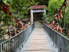 -黄山翡翠谷景区