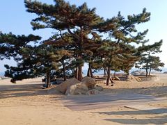 -老虎石海上公园