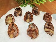 小鲍鱼-尚海豆捞(乐虹坊店)