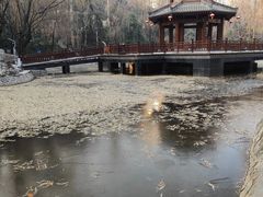 -西安市长乐公园