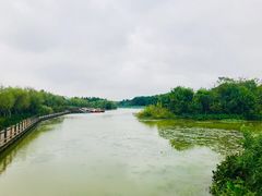 -艾溪湖湿地公园