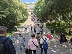 -灵谷景区