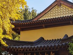 -郑和公园