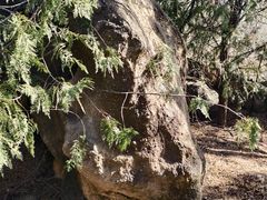 -白水寺森林公园