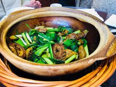 -熠盛粤味·顺德桑拿鸡(永康路店)