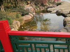 -秀丽东方