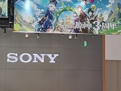 -Sony Store索尼(深圳深业上城店)