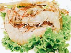 -草原塞蛮羊火锅城(港湾店)