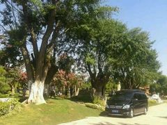 android_upload_pic-中国唐苑