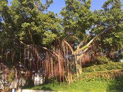 -鸿山公园