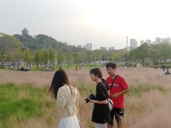 -王借岗森林公园