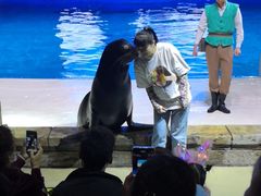 -哈尔滨波塞冬海底世界