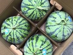 -上海龙吴水胜海发市场