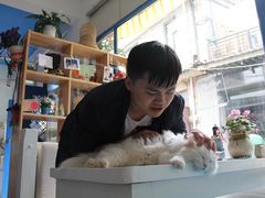 Anne猫窝咖啡屋-Anne猫窝咖啡屋
