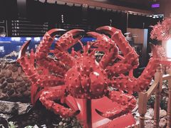 -綱元·海鲜豆捞(明州里店)